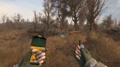S.T.A.L.K.E.R.: Call of Pripyat - Anomaly Epilogue (2025) PC | RePack by SeregA-Lus