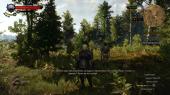  3:   / The Witcher 3: Wild Hunt (2015) PC | RePack  R.G. Catalyst