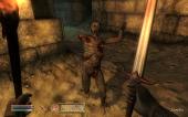 The Elder Scrolls IV: Oblivion - Gold Edition (2007) PC | Lossless RePack  Spieler