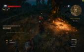Ведьмак 3: Дикая Охота / The Witcher 3: Wild Hunt - Complete Edition (2015/2022) PC | RePack от Chovka