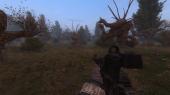 S.T.A.L.K.E.R.: Call of Pripyat - ֳ  [GUNSLINGER Addon] (2024) PC | RePack by SeregA-Lus