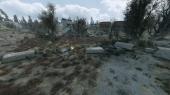 S.T.A.L.K.E.R.: Call of Pripyat - Anomaly - ���� �� ���� (2026) PC | RePack by SeregA-Lus